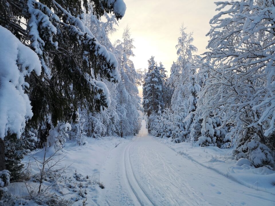 Latu lumisessa talvimaisemassa