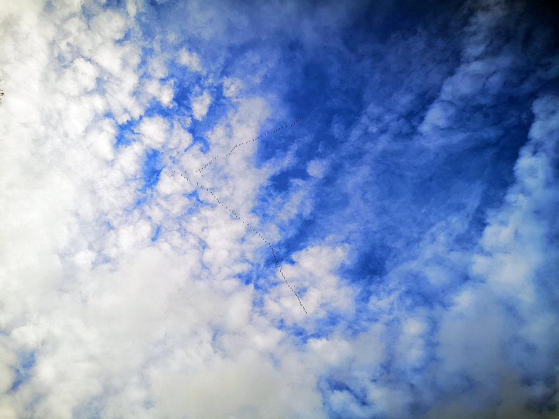 Kurkiaura sinisellä taivaalla missä on valkoisia pilviä