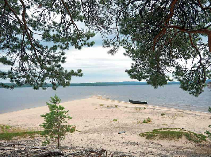 Rantamaisema, jossa näkyy hiekkarantaa, järveä ja puun oksia kuvan yläreunassa