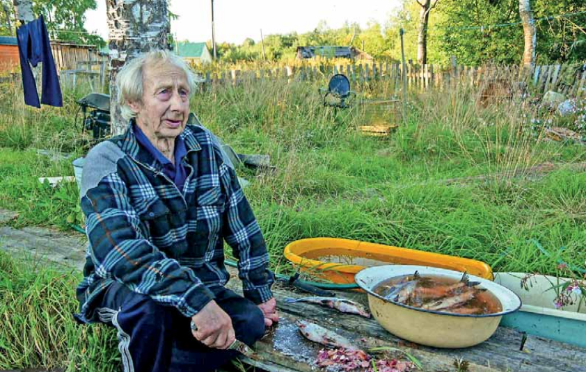 Iäkäs mies puhdistaa kaloja penkillä. Vieressä on kulho missä ovat puhdistettu kalat. Taustalla on puuaita.