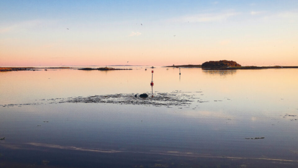 Avara maisema veden äärellä, auringon kajo taivaanrannassa.