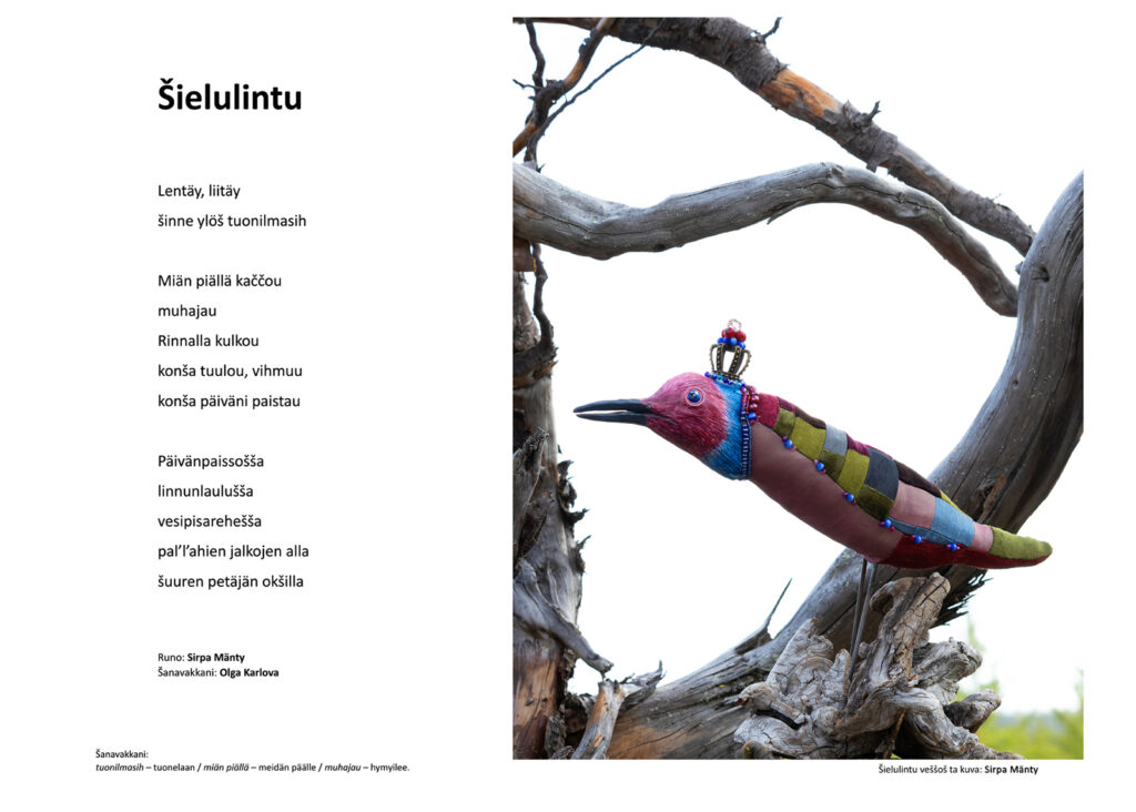 Kuvan ja tekstin kollaasi