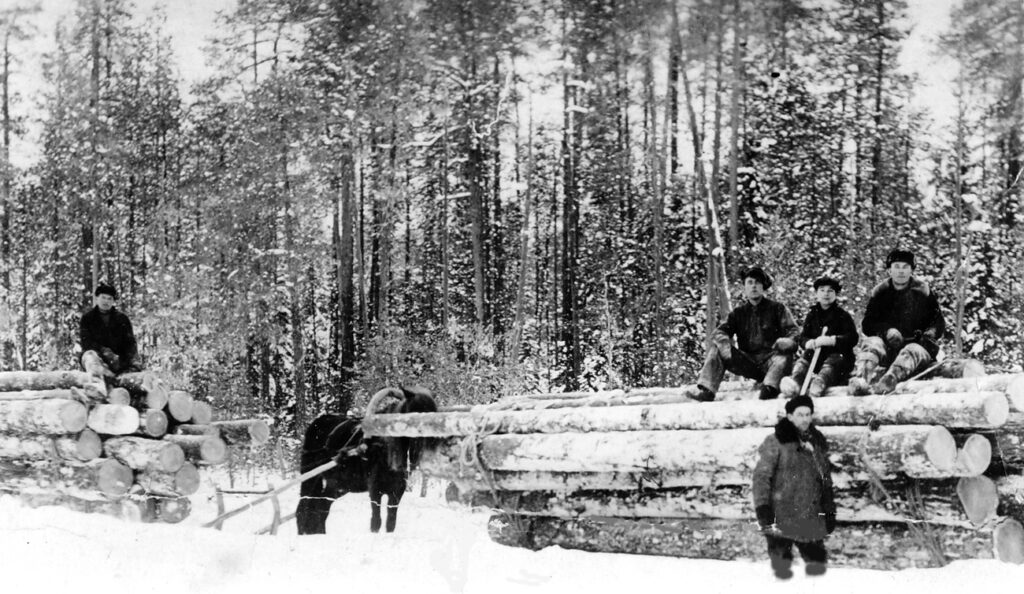 Muutama mies istuu talvimaisemassa tukkikuorman päällä, yhtä kuormaa vetää hevonen. Vanha, mustavalkoinen valokuva.