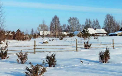 Ontajärvi: istorijan šivuja šeluallen